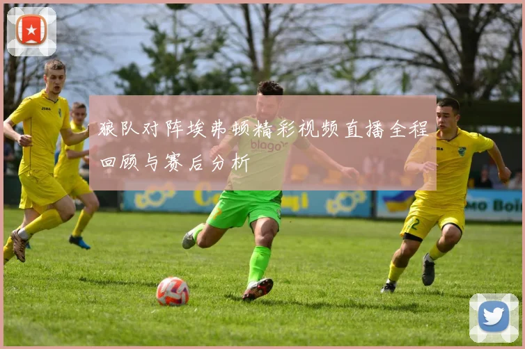 狼队对阵埃弗顿精彩视频直播全程回顾与赛后分析