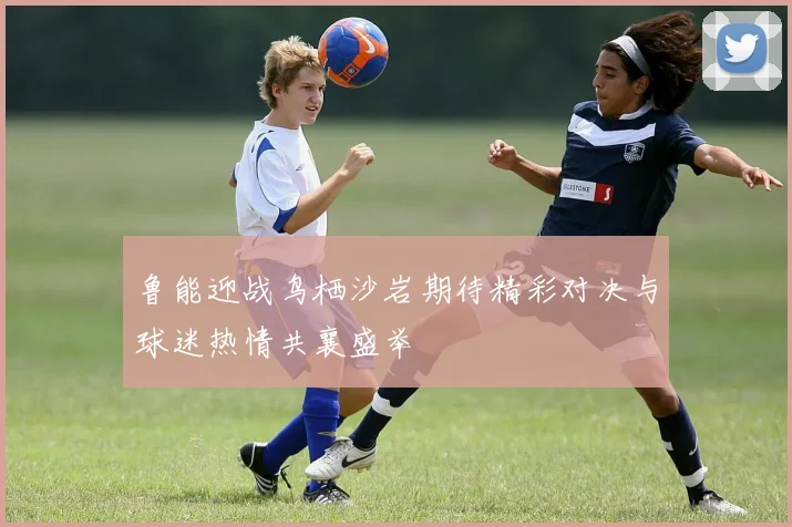 鲁能迎战鸟栖沙岩期待精彩对决与球迷热情共襄盛举