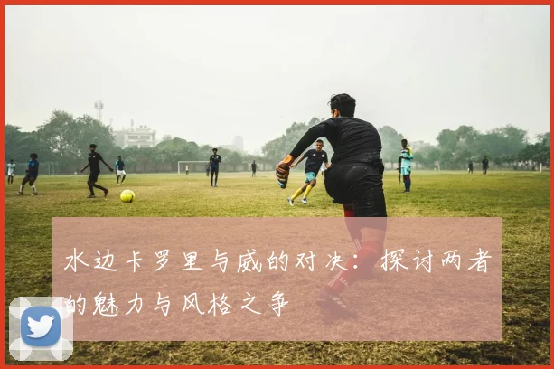 水边卡罗里与威的对决：探讨两者的魅力与风格之争