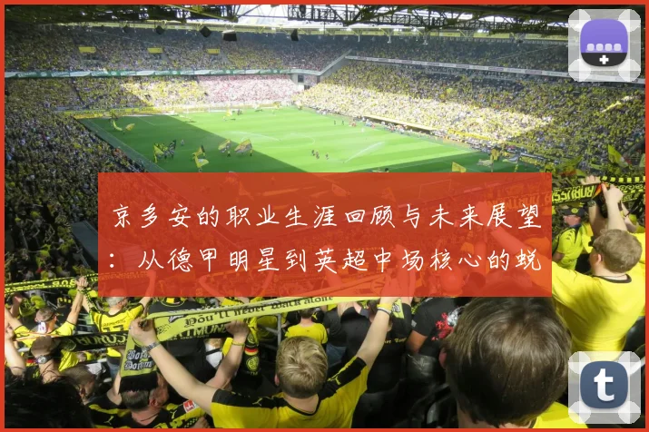 京多安的职业生涯回顾与未来展望：从德甲明星到英超中场核心的蜕变之路