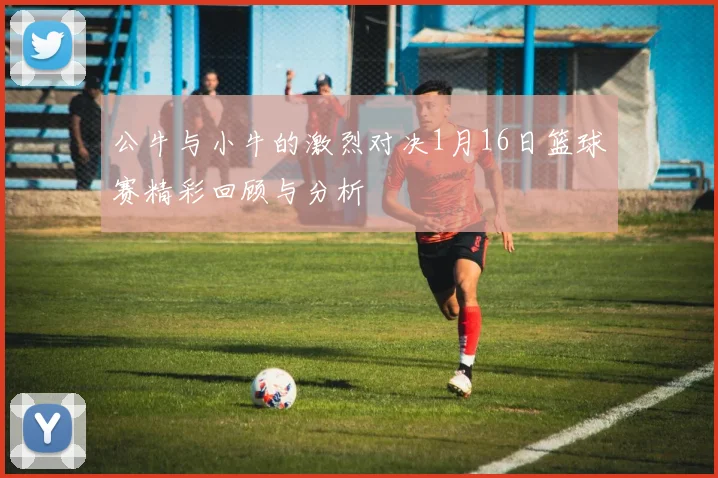 公牛与小牛的激烈对决1月16日篮球赛精彩回顾与分析