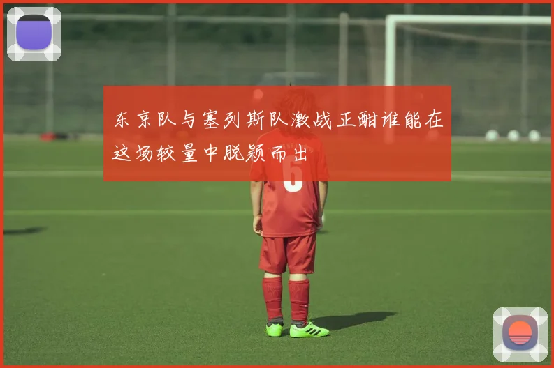 东京队与塞列斯队激战正酣谁能在这场较量中脱颖而出