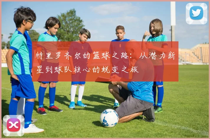 特里罗齐尔的篮球之路：从潜力新星到球队核心的蜕变之旅