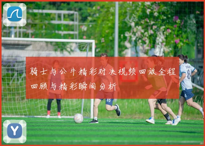 骑士与公牛精彩对决视频回放全程回顾与精彩瞬间分析