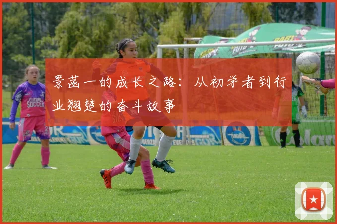 景菡一的成长之路：从初学者到行业翘楚的奋斗故事
